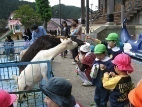 移動動物園写真